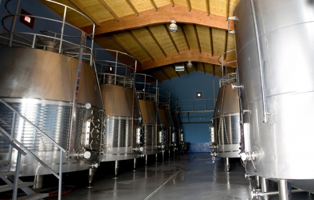 proceso de fermentacion